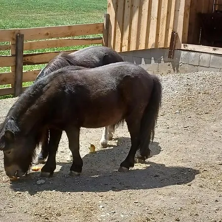 公寓 菲林霍夫贝克豪夫公寓 *
