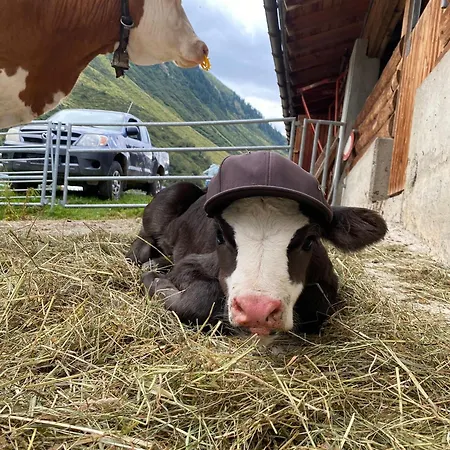 菲林霍夫贝克豪夫公寓 公寓