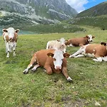 Bichlhof