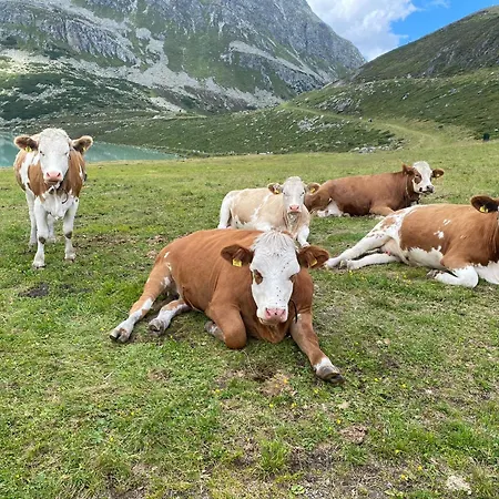 Bichlhof